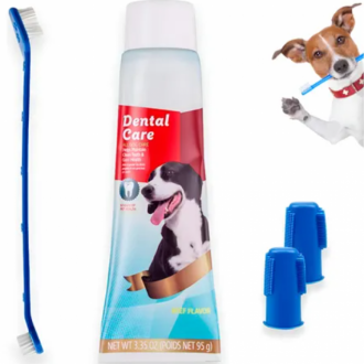 Dental Care Kit Dental 1 Und Dental Care Kit Dental 1 Und